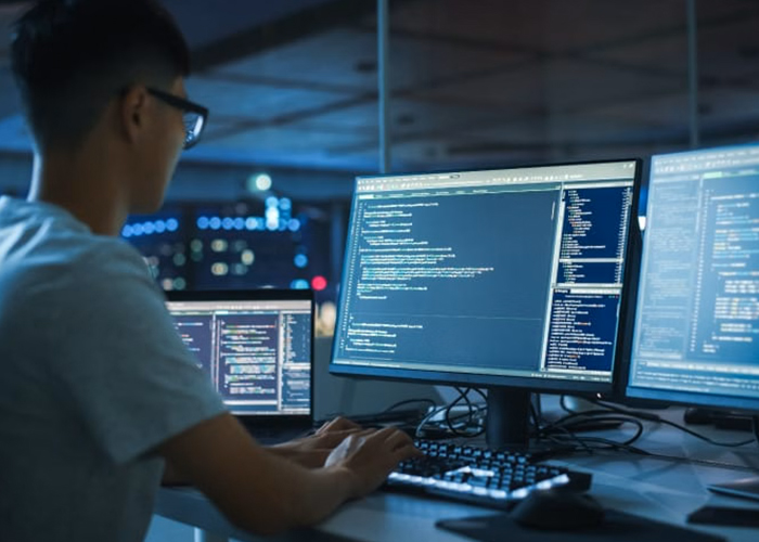 software engineering